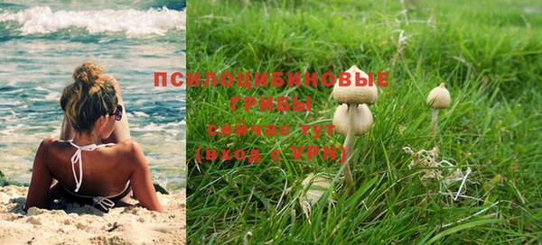 стаф Белоозёрский