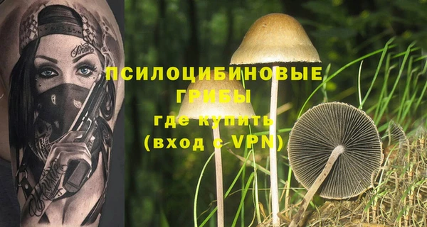 круглые Белокуриха