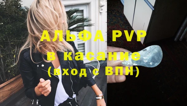 круглые Белокуриха