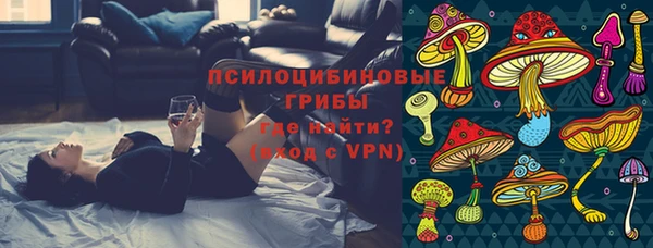 круглые Белокуриха