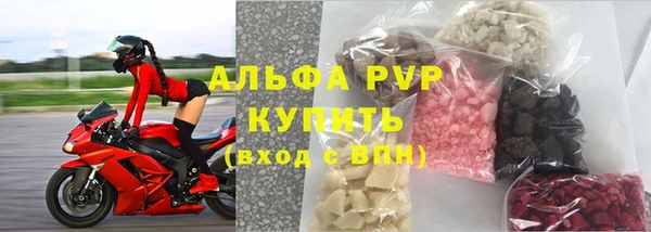круглые Белокуриха