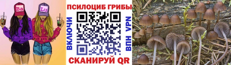 даркнет сайт  Облучье  hydra вход  Псилоцибиновые грибы Psilocybe 